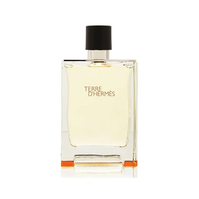 HERMES TERRE D`HERMES M EDT 100ML HERMES TERRE D`HERMES MEN EDT 100ML - Image 1